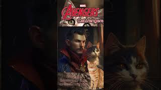 DR STRANGE CATVENGERS