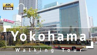 [4K/Binaural Audio] Yokohama Walking Tour - Kanagawa Japan