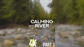 Calming Ambience of a Forest River for Tablets & Phones - 4K Vertical Relaxing Video - Part 1