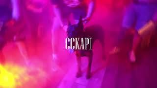 [FREE] DESINGERICA X LACKU X PETROV TYPE BEAT "CCKAPI" || Prod. by Birke x Slavic Boy