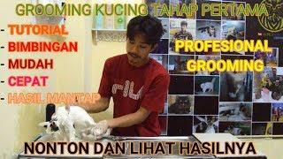 Cara memandikan kucing dengan profesional #tahappertama