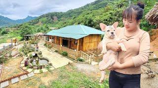 TIMELAPSE: 120 days of a girl building a farm alone and making a living by trapping fish