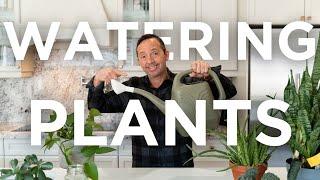 Mastering Plant Care: The Ultimate Guide to Watering Your Plants Correctly