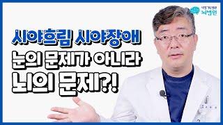 시야장애, 복시! 눈의 문제일까? 뇌의 문제일까? ft. 안구질환 뇌질환 감별법