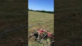 tedding hay with 1970 John Deere 1020 and Sitrex ST520 tedder