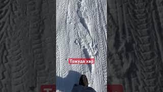 Тыва дыл. Тожуда хар