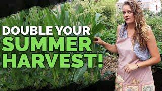 Succession Planting: Squeeze More Out Of Your Vegetable Garden