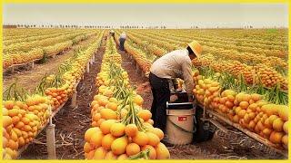 Harvest like crazy! "The way folks Harvest Potatoes is lightning fast."