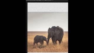 Amazing Trick - Short Photoshop Tutorial