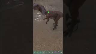 How To Tame A Dilo #ark #dilophosaurus