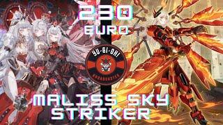 Maliss Sky Striker: la mia lista personale (~230€)