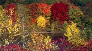 Explore White Mountain National Forest, New Hampshire | Camping Trip