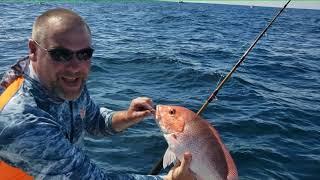 Fishing Red Snapper Season 2020 in Carrabelle, Florida