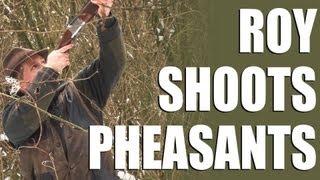 Driven pheasants - Roy goes on a shoot day in Hampshire