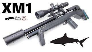 Stoeger XM1 BullShark Review (27 inch) Mini Bullpup PCP Air Rifle w/ Top Accuracy @ Full Power