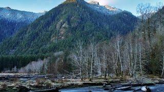 Being Chased By Bigfoot In North Fork Skokomish - PacWest Bigfoot