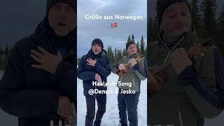 #haalandsong #dennisundjeskosongs #wummssongs #norwegen