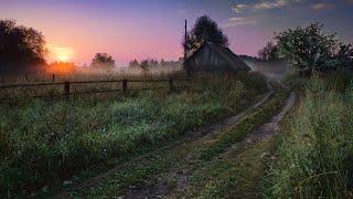 May Night in the Village Nightingale Singing and ASMR Sounds of Nature for Sleep All Night No Ads