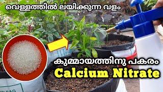 മുളക്, തക്കാളി, വഴുതന ഇരട്ടി വിളവിന്...!!! | Calcium Nitrate Fertilizer | Water Soluble Fertilizer