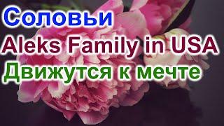 Соловьи. Aleks Family in USA. Движутся к мечте