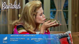 Sam kisses a toad | Bewitched - TV show | Sony Pictures - Stream