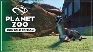 Building a TINY habitat for the Thompson Gazelle in Planet Zoo: Console Edition - FWP Ep 19