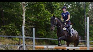 Mbo-opleiding paardensport en -houderij