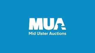 MUA | Trust the experts
