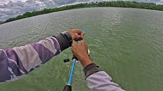 Mancing Muara