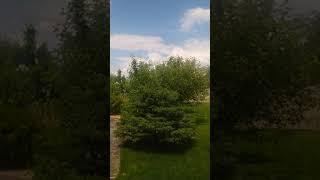 Идеальное поместье для счастья