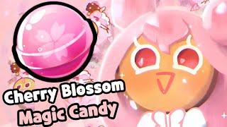 [ Cookie Run Kingdom ] Cherry Blossom Cookie's Magic Candy Coming?? 