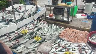 İstanbulda Pazarda Balık/Street fish market in İstanbul (Turkey)