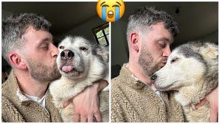 Cuddle & Kiss Your Doggos Before It’s Too Late!.