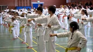 Karate Training mit dem Bundestrainer Efthimios Karamitsos in Lingen 24.03.2012