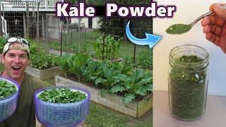 Make KALE Powder with a Dehydrator