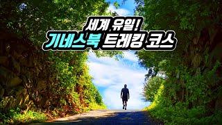 World's Only! Korea's Best Wildflower Trekking Course Listed in the Guinness Book of Records