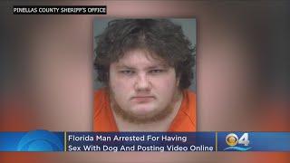Pria Florida Ditangkap Karena Berhubungan Seks Dengan Anjing, Memposting Video Online