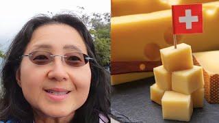 Eat Cheese, Live Long? Which Cheese Is Healthy?