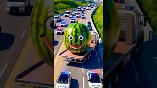 ️Evolution of cat : Giant Watermelon transporting Fari ai #cat #cute #love #shorts #shortvideo