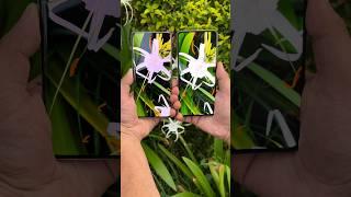 Realme 12 Pro 5g vs Oneplus Nord CE 4 5g Camera Test (2X Optical Zoom) #shorts