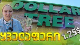 ყველაფერი 1,25 $/ Dollar Tree/green card/ამერიკა/მწვანე ბარათი/რა ღირს პროდუქტი ამერიკაში/ფასები