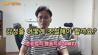변증법적행동치료(DBT)와 감정조절 기술