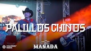 Grupo Manada - Palillos Chinos (En Vivo)