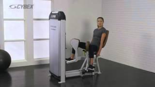 Prestige VRS Hip Adduction - Cybex International, Inc.