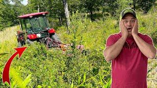 When Mowing An OVERGROWN FIELD GOES WRONG!