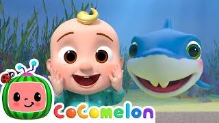 Baby Shark plays Hide and Seek! CoComelon  Moonbug Kids - Learning Corner