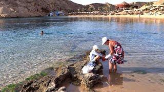 紅海秘密海灣 - 埃及胡爾加達 Red Sea Secret Bay, Hurghada (Egypt)