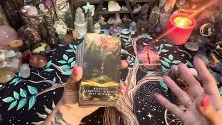 🫠‍️CONFUSED ON THE CONNECTION? ️‍CURRENT LOVE ENERGIES #tarot #lovereading #collectivereading