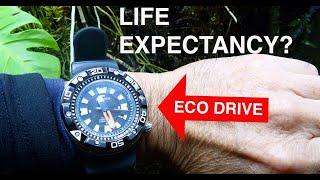 Citizen Eco Drive Life Expectancy?