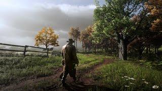 Autumn Rain Walk to Shady Belle (RDR2 Relaxing Ambience)